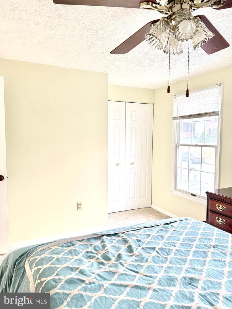 9 Hickory Ridge Court photo 29