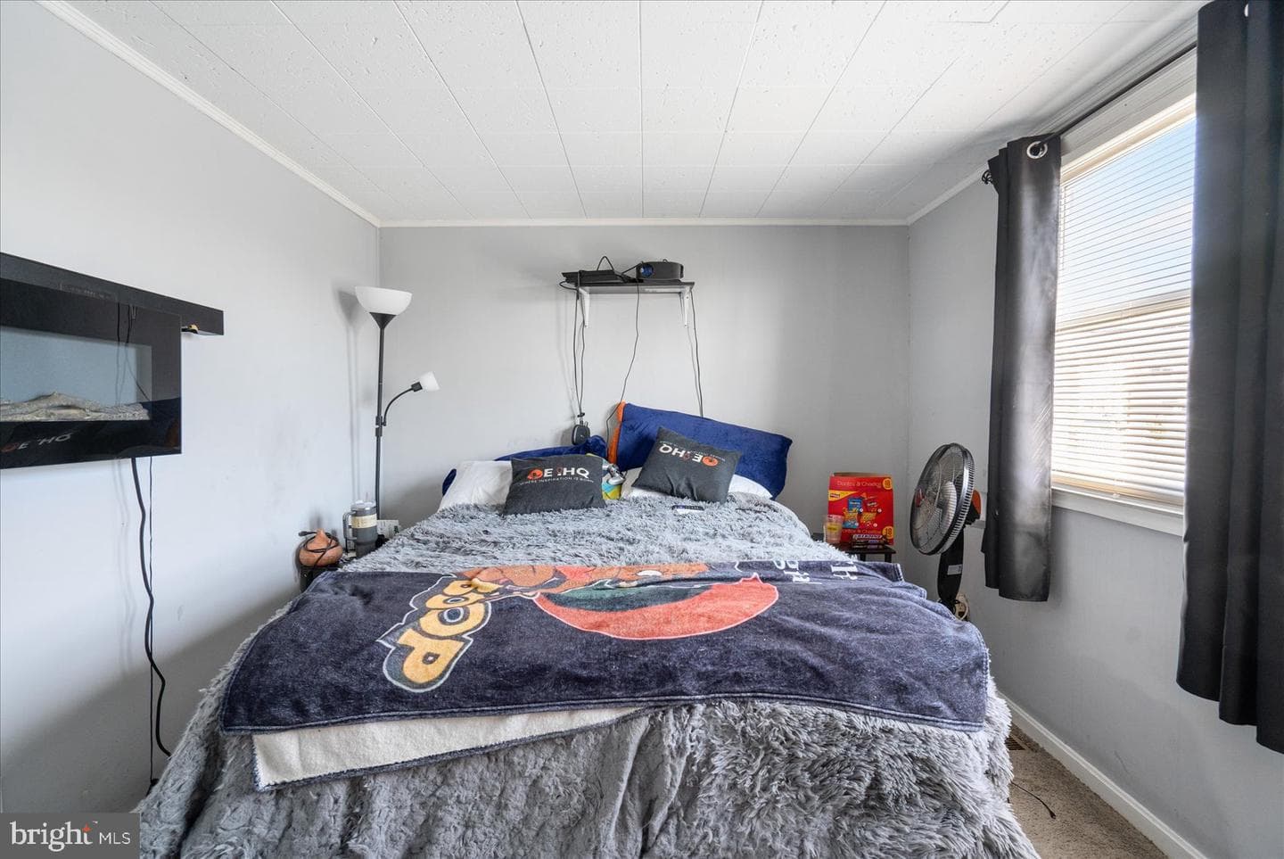 503 Carlsbad Court photo 20