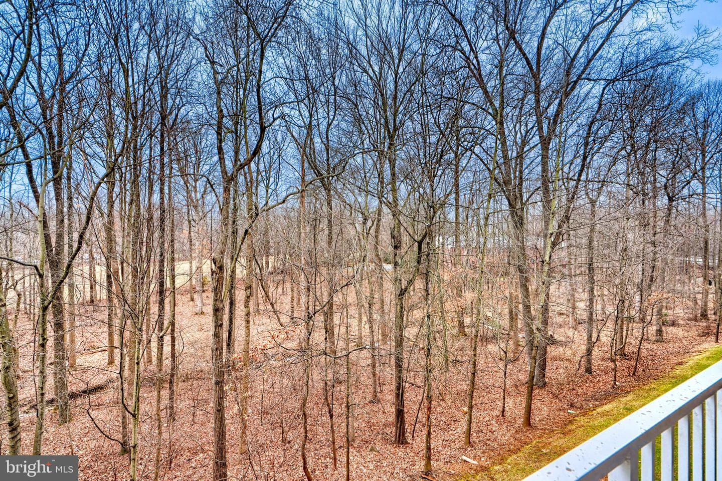 12105 Tullamore Court #303 photo 23