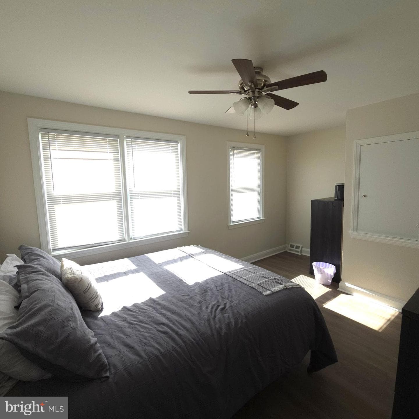 141 Hampshire Road photo 22