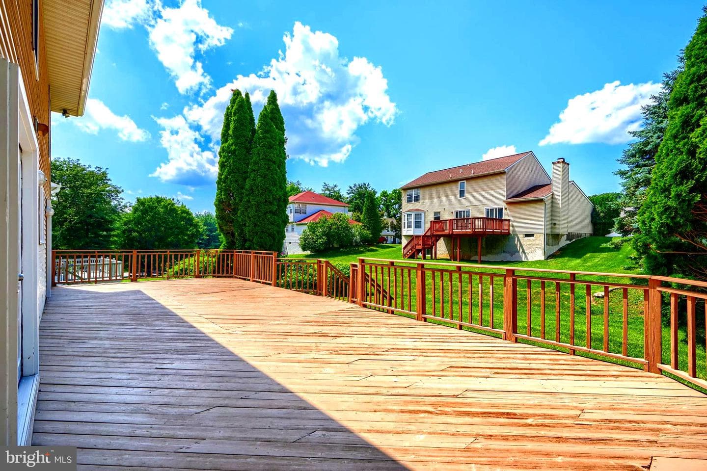 204 Berry Vine Drive photo 38