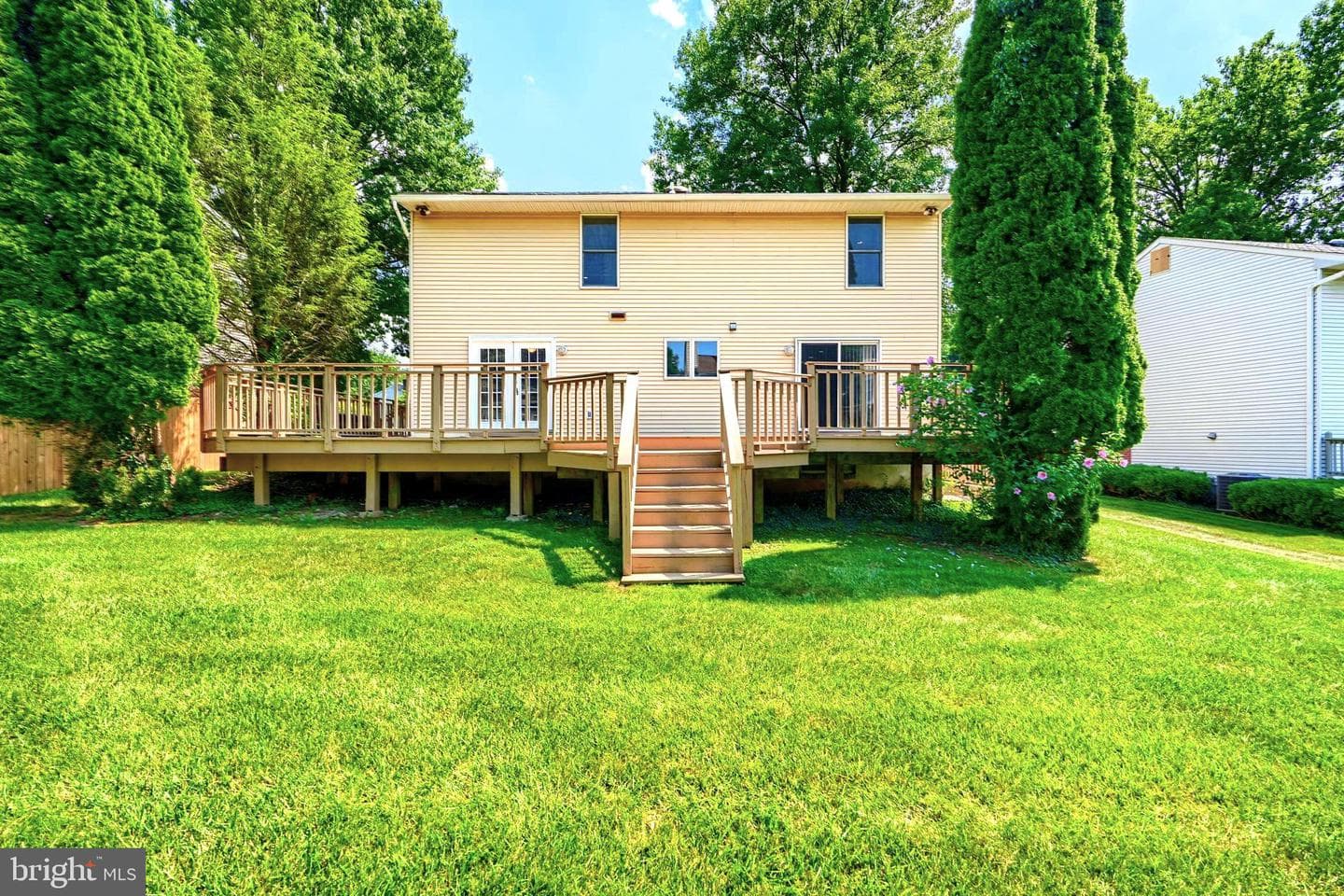 204 Berry Vine Drive photo 41