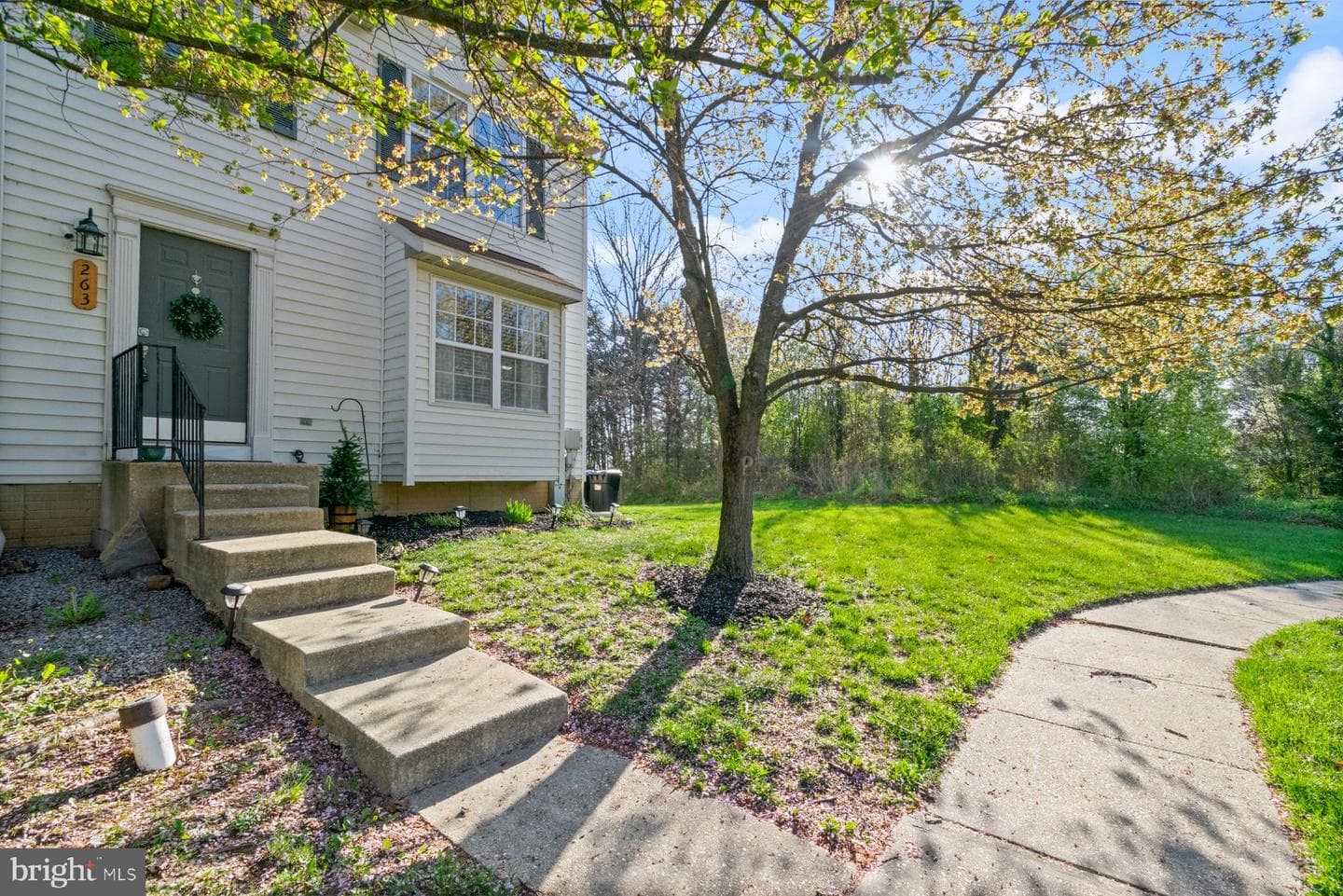 263 Green Fern Way photo 1
