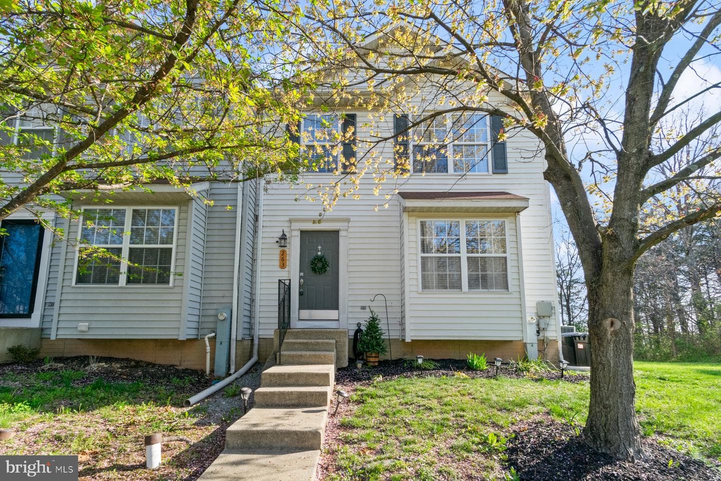 263 Green Fern Way photo 2