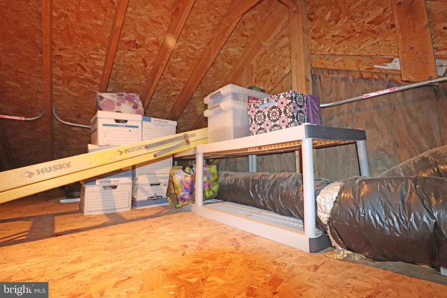 405 Dyer Avenue photo 49