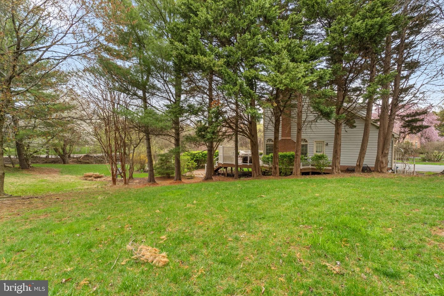 56 Bellchase Court photo 79