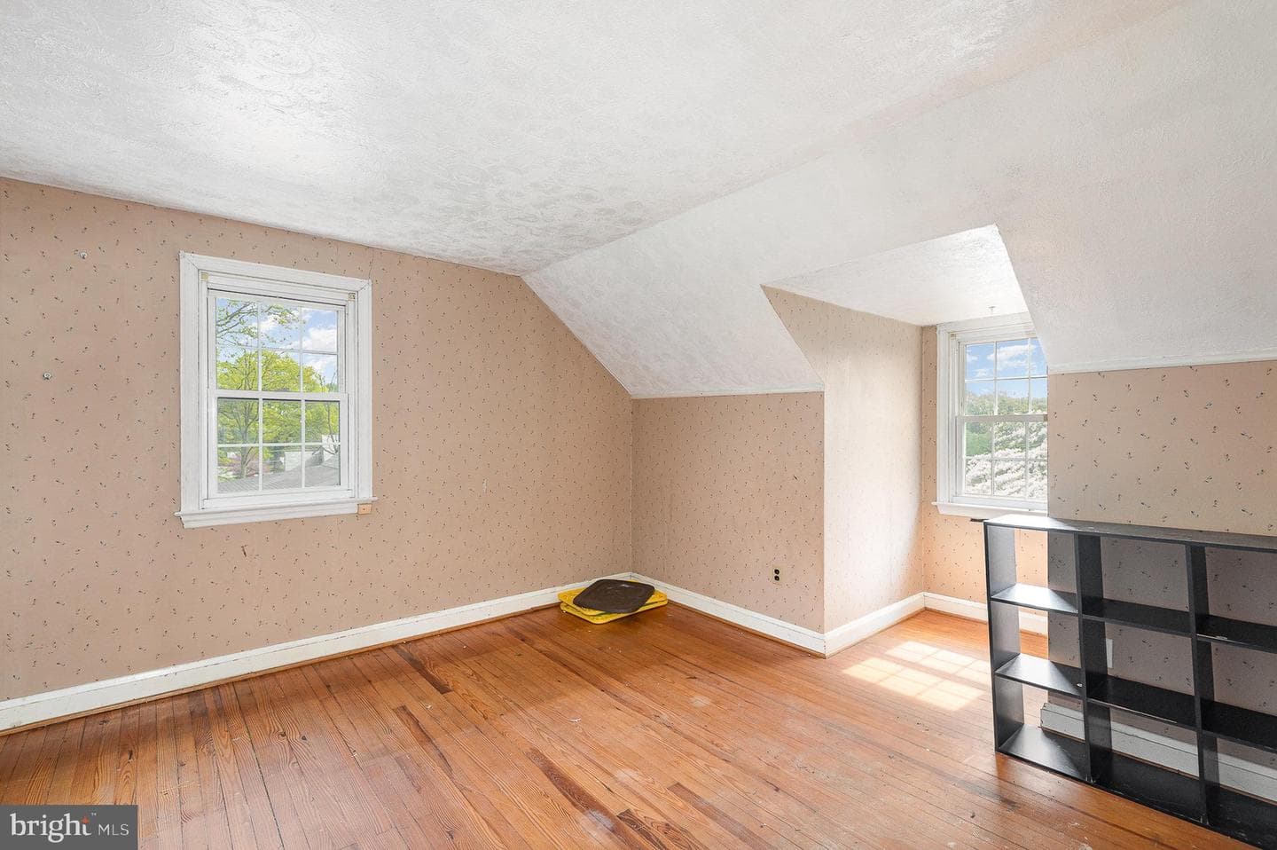 1000 Chesaco Avenue photo 11