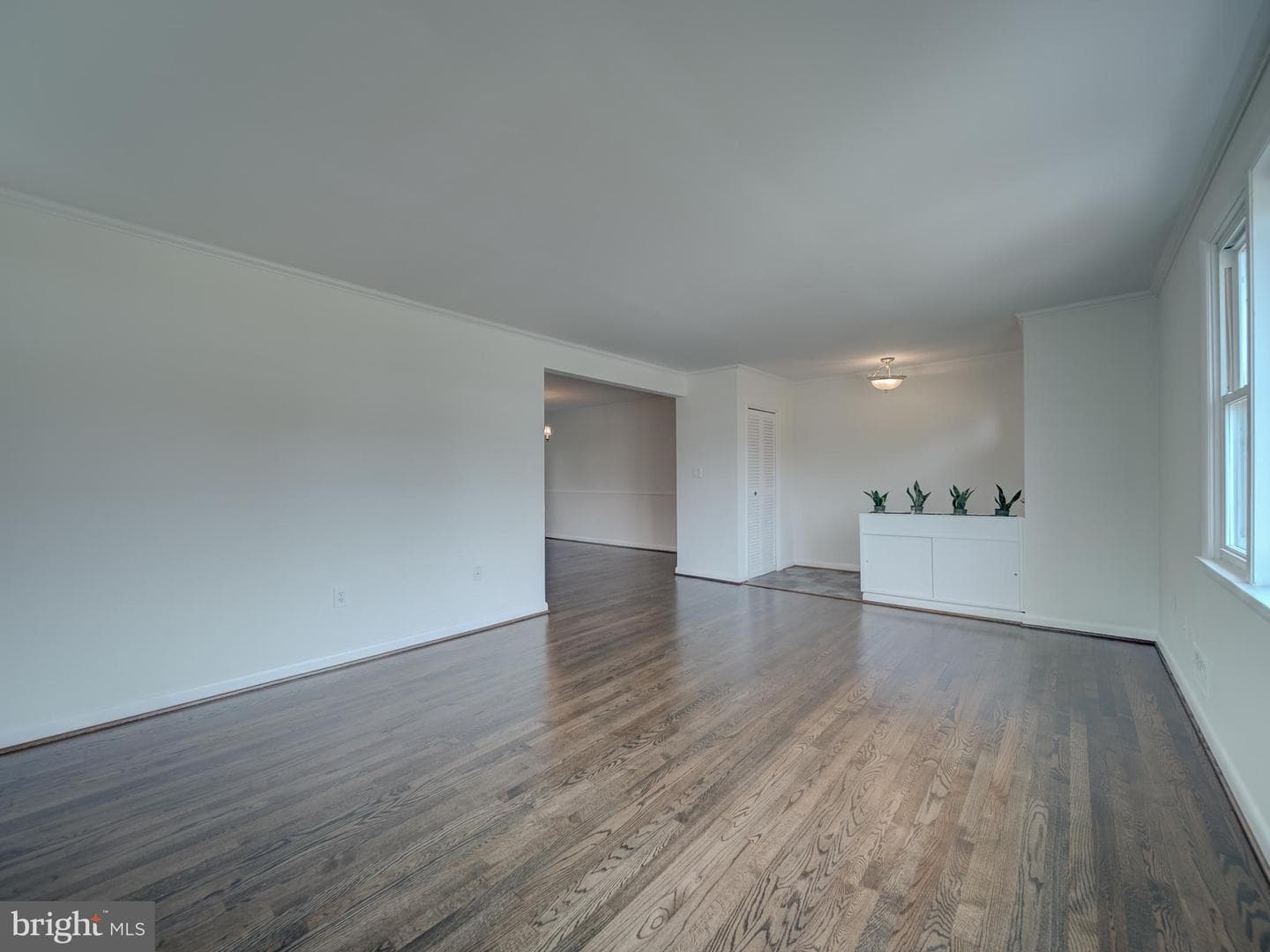 117 Longdale Road photo 9
