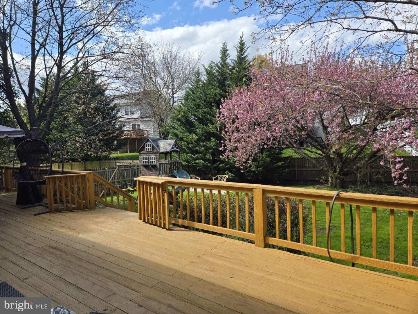 208 Berry Vine Drive photo 39