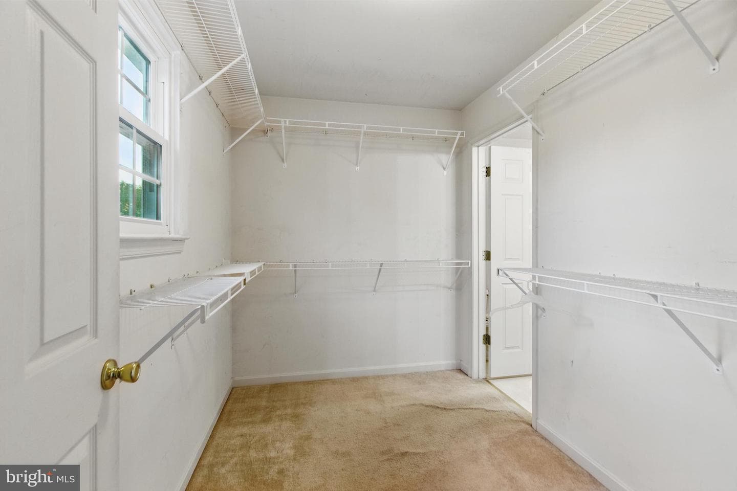 3443 Chapman Road photo 54