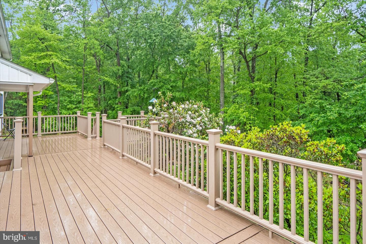 34 Edelweiss Way photo 43