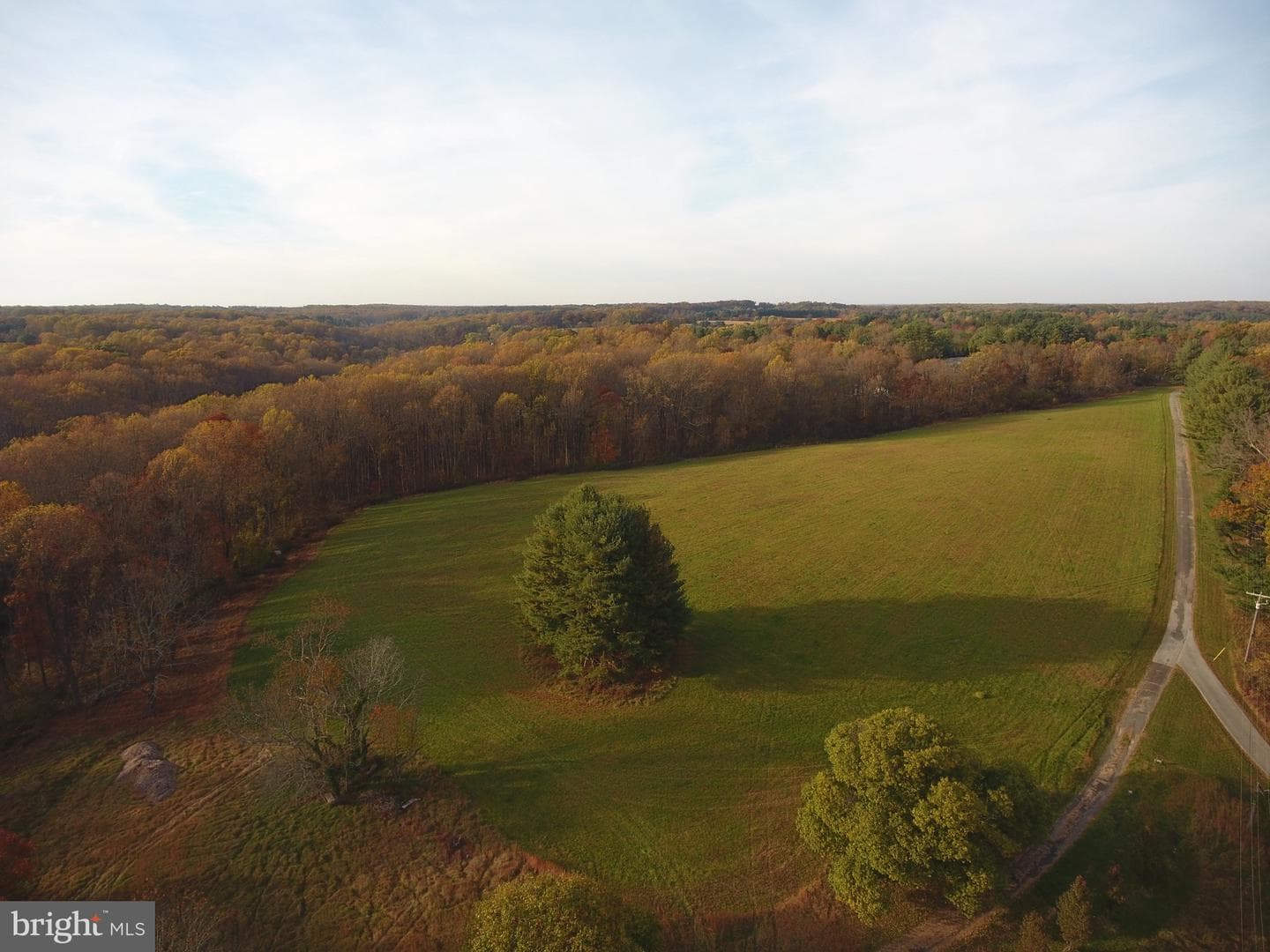 1501 - B Peachwood Lane photo 4