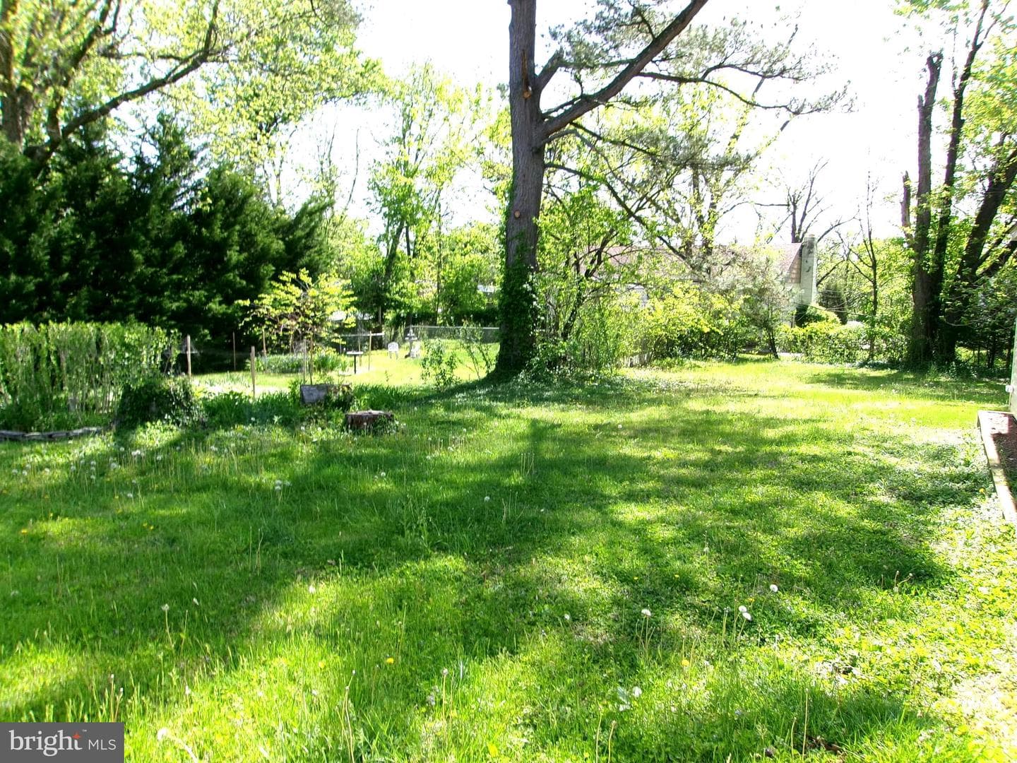 8807 Fearne Avenue photo 31