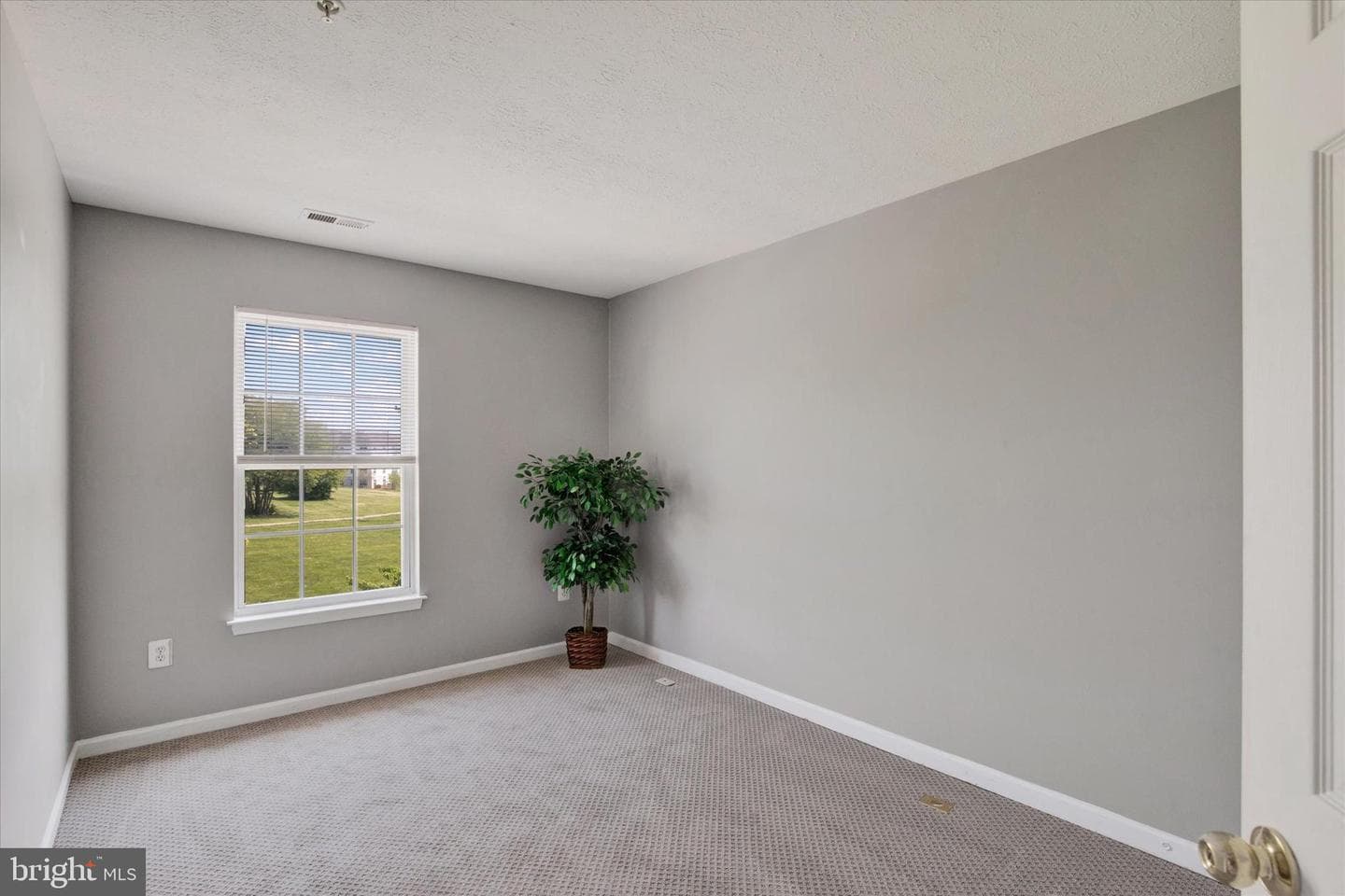 835 Lowe Road photo 18