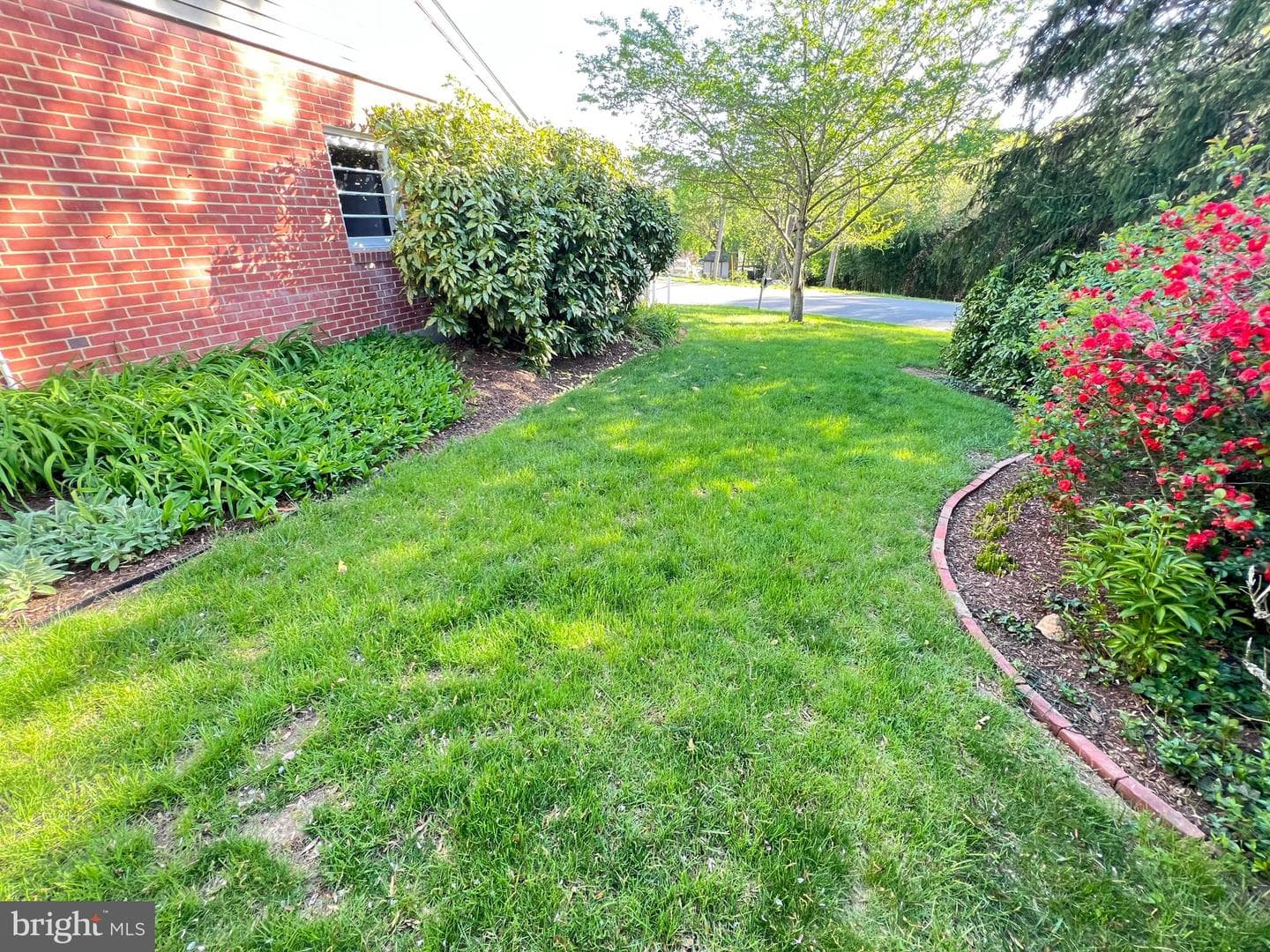 7901 Springway Road photo 92