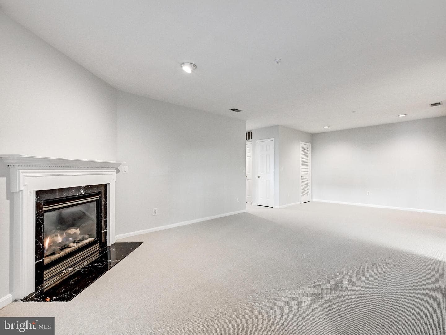 12111 Tullamore Court #101 photo 2