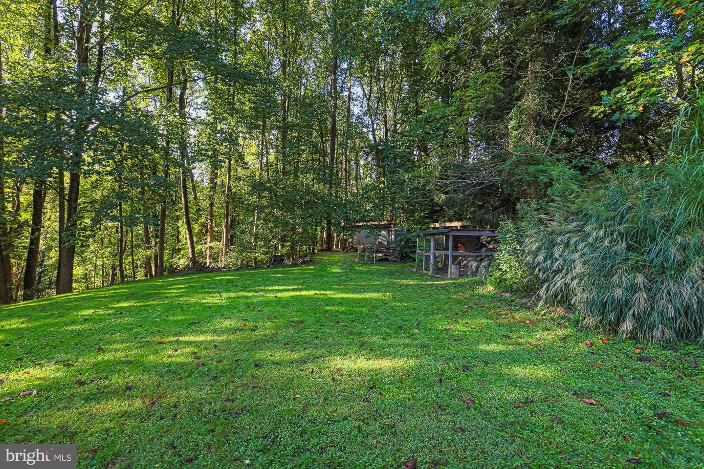 10034 Gunridge Circle photo 23