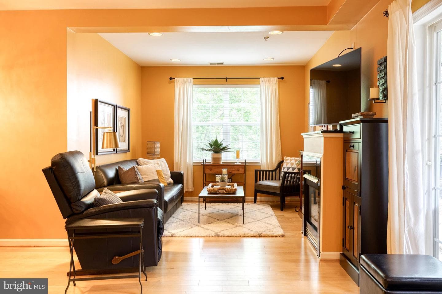9663 Devedente Drive #101 photo 8