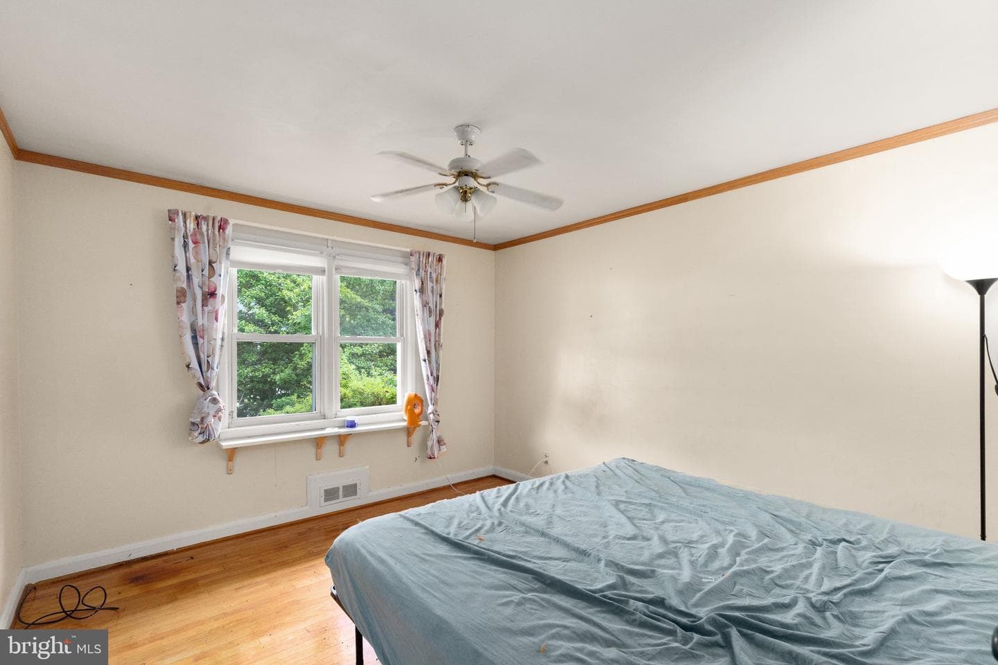 8122 Ridgely Oak Road photo 5