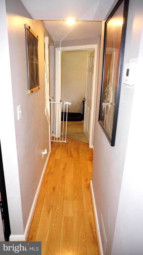7811 Meath Road photo 29