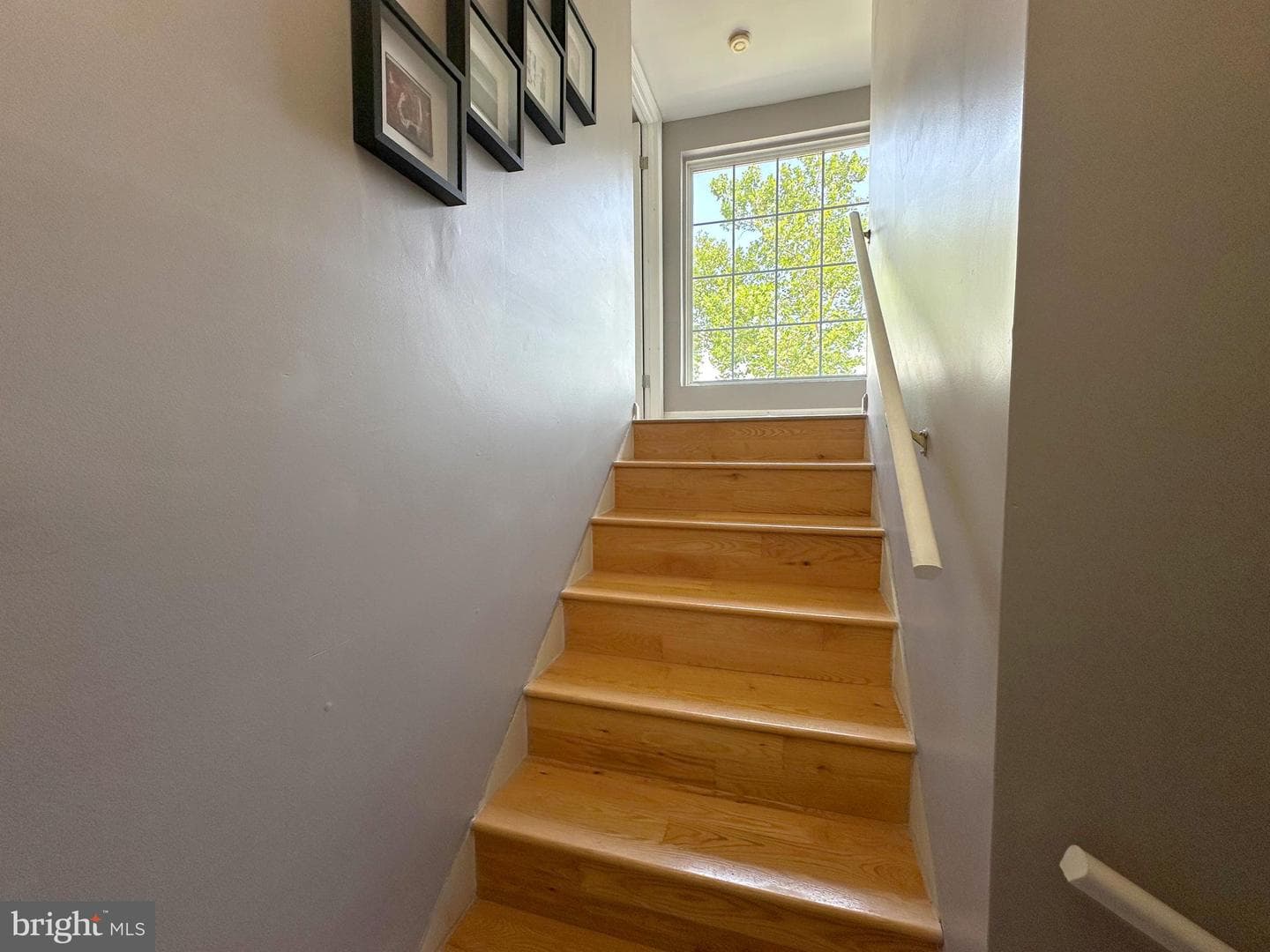 7811 Meath Road photo 43
