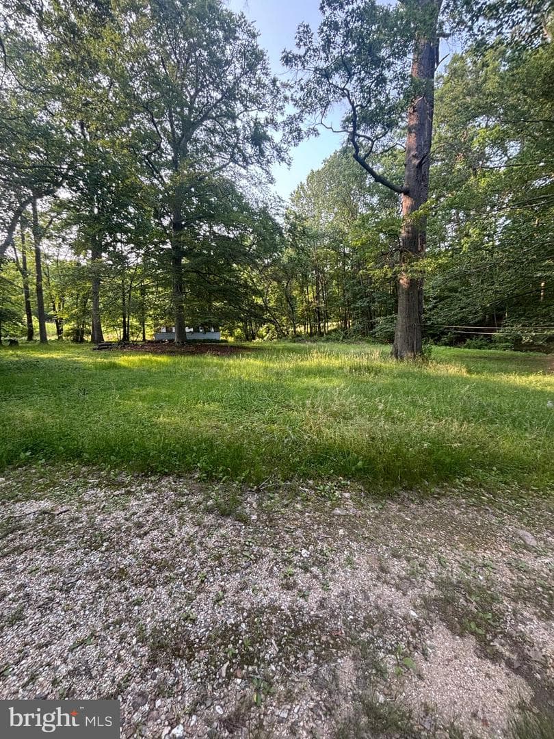 12124 Philadelphia Road photo 3