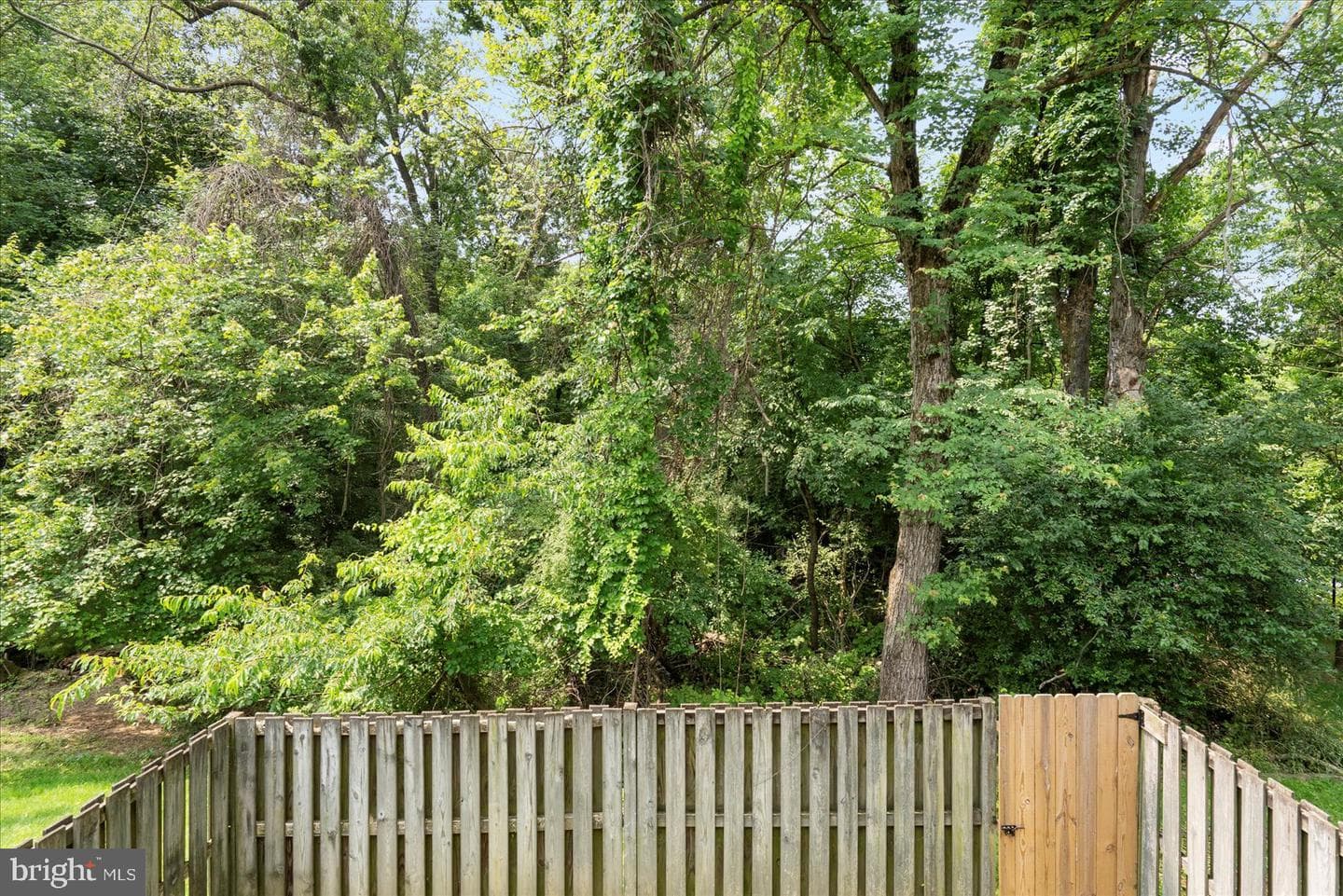 8124 Greenspring Valley Road photo 42
