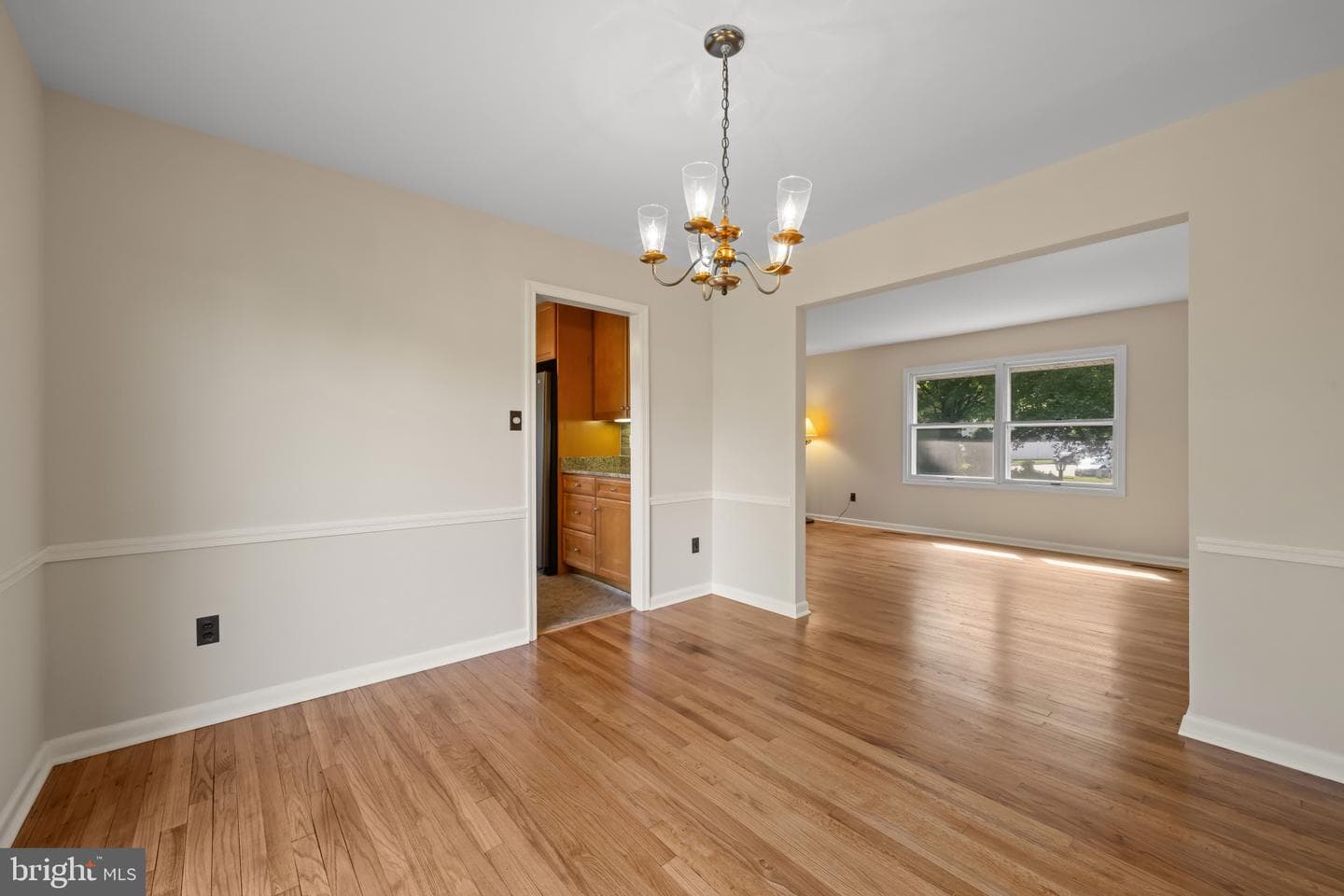7 Amesbury Court photo 19