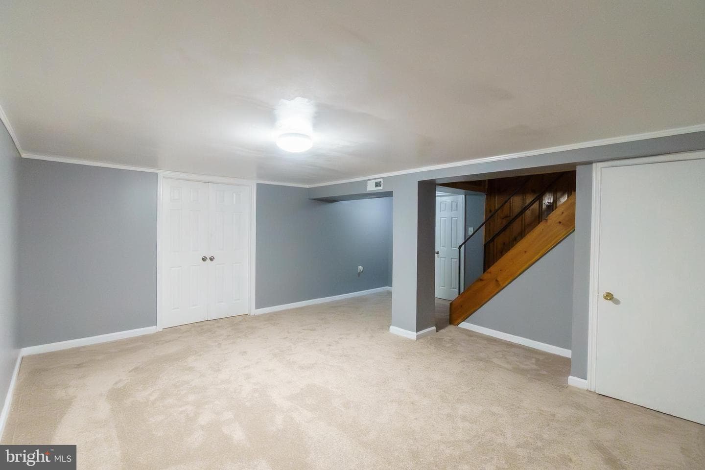 6 Carroll Road photo 20