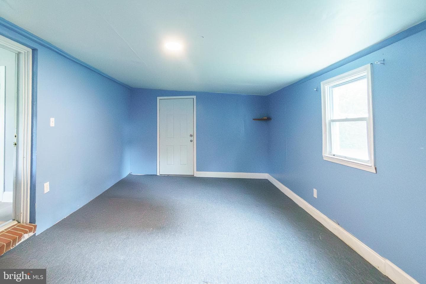 6 Carroll Road photo 24