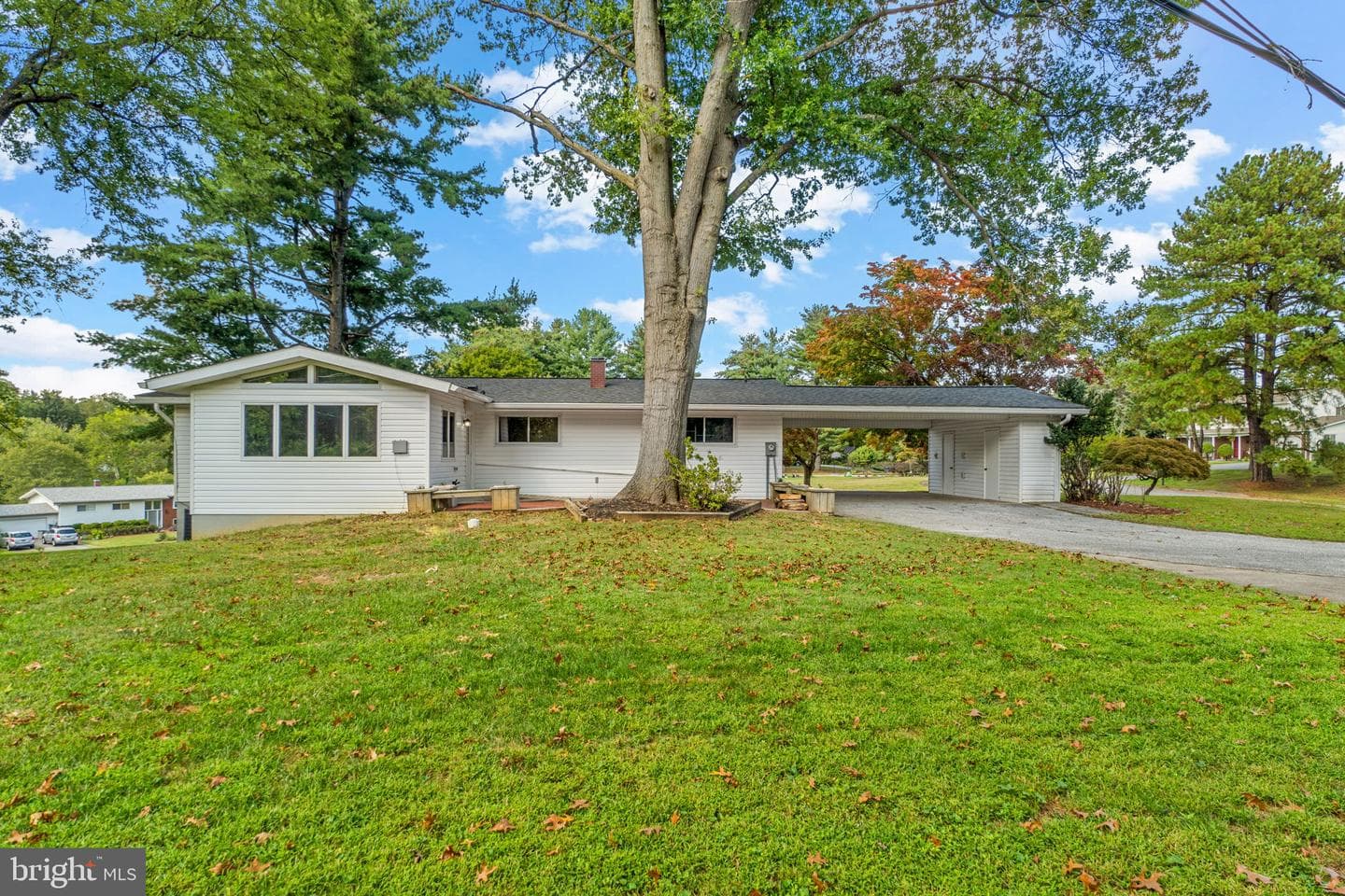 1 Babette Court photo 38