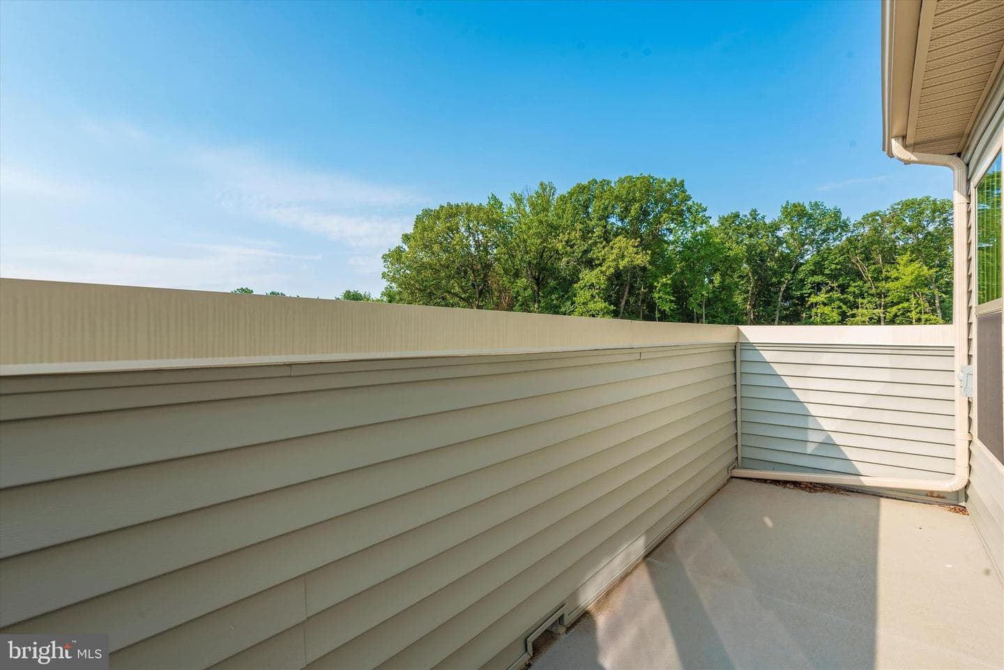 10109 Campbell Boulevard photo 36
