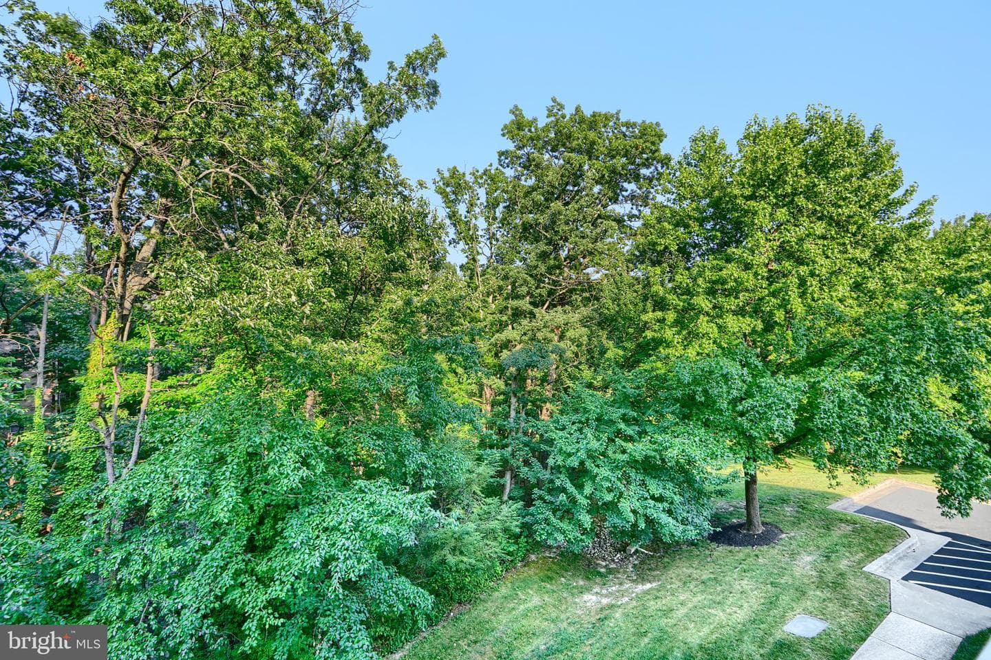 3802 Meghan Drive #2h photo 38