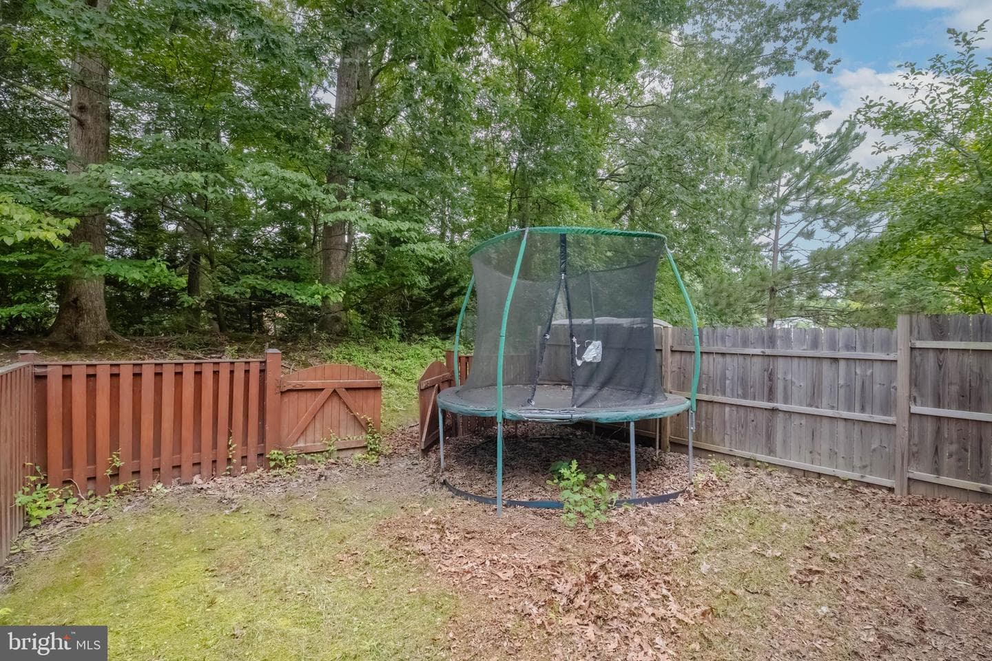 15 Dallington Court photo 34