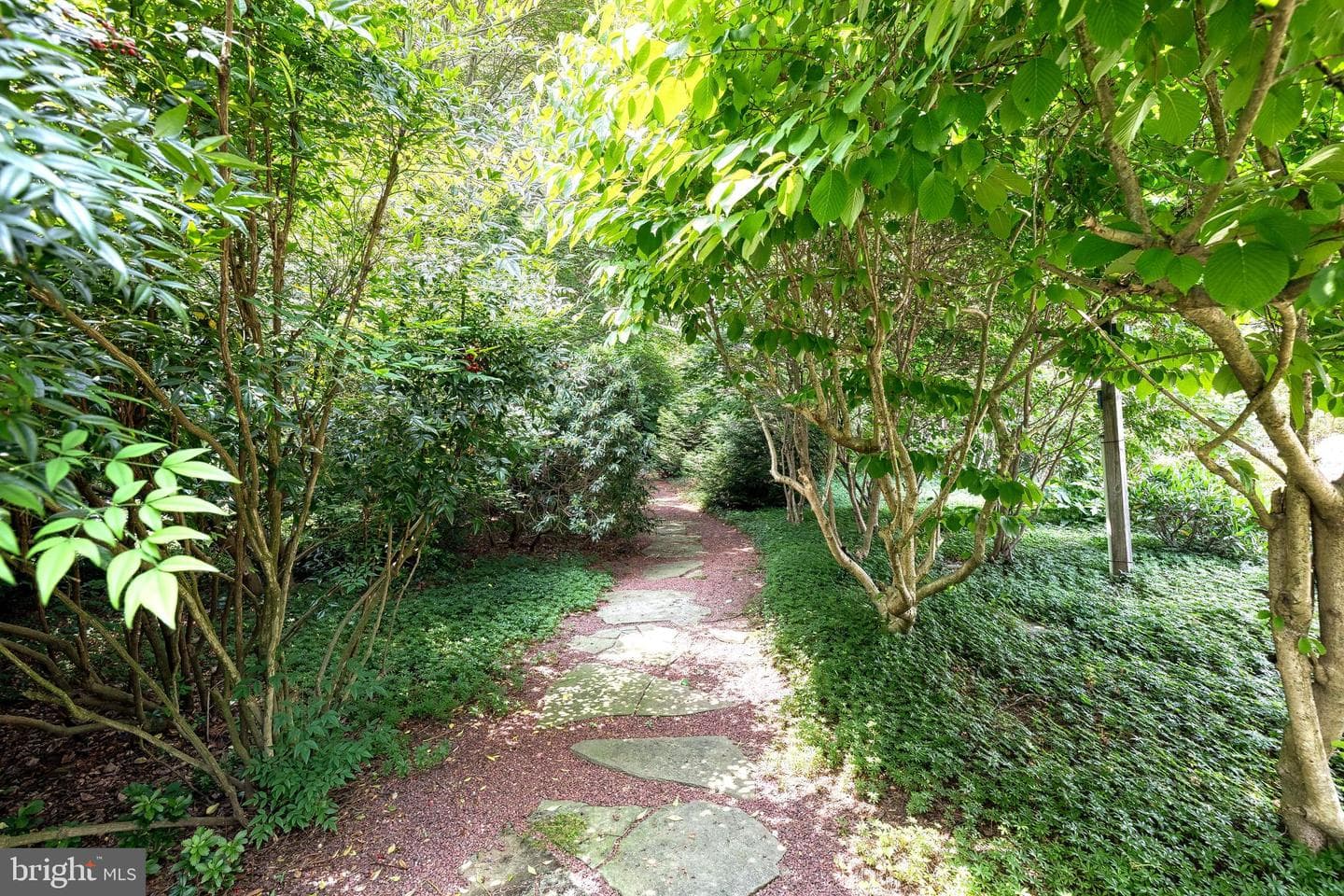 9 Tree Farm Court photo 44
