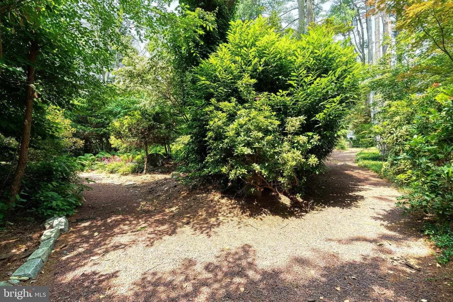 9 Tree Farm Court photo 49