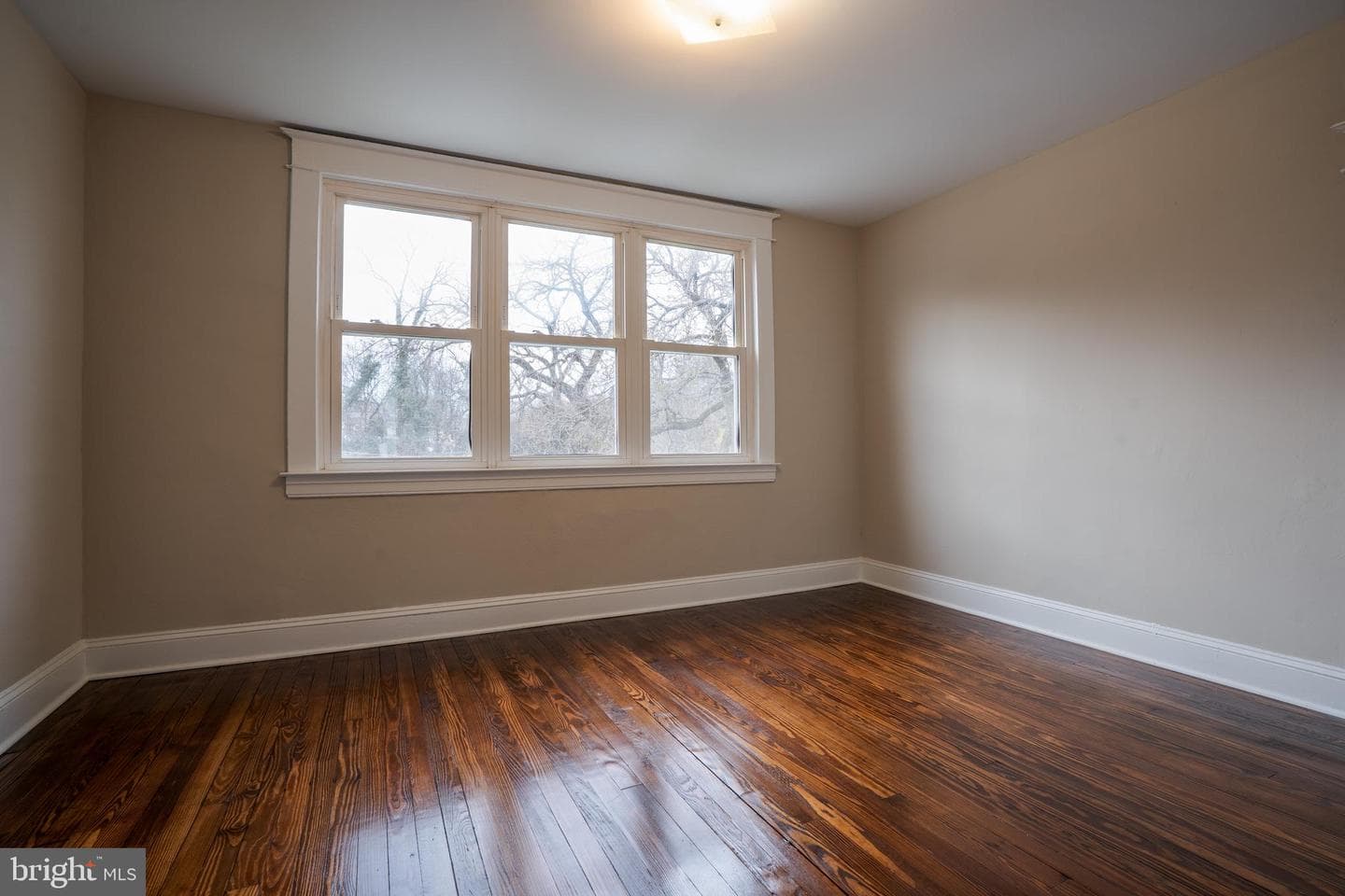 3 Arthur Avenue photo 19