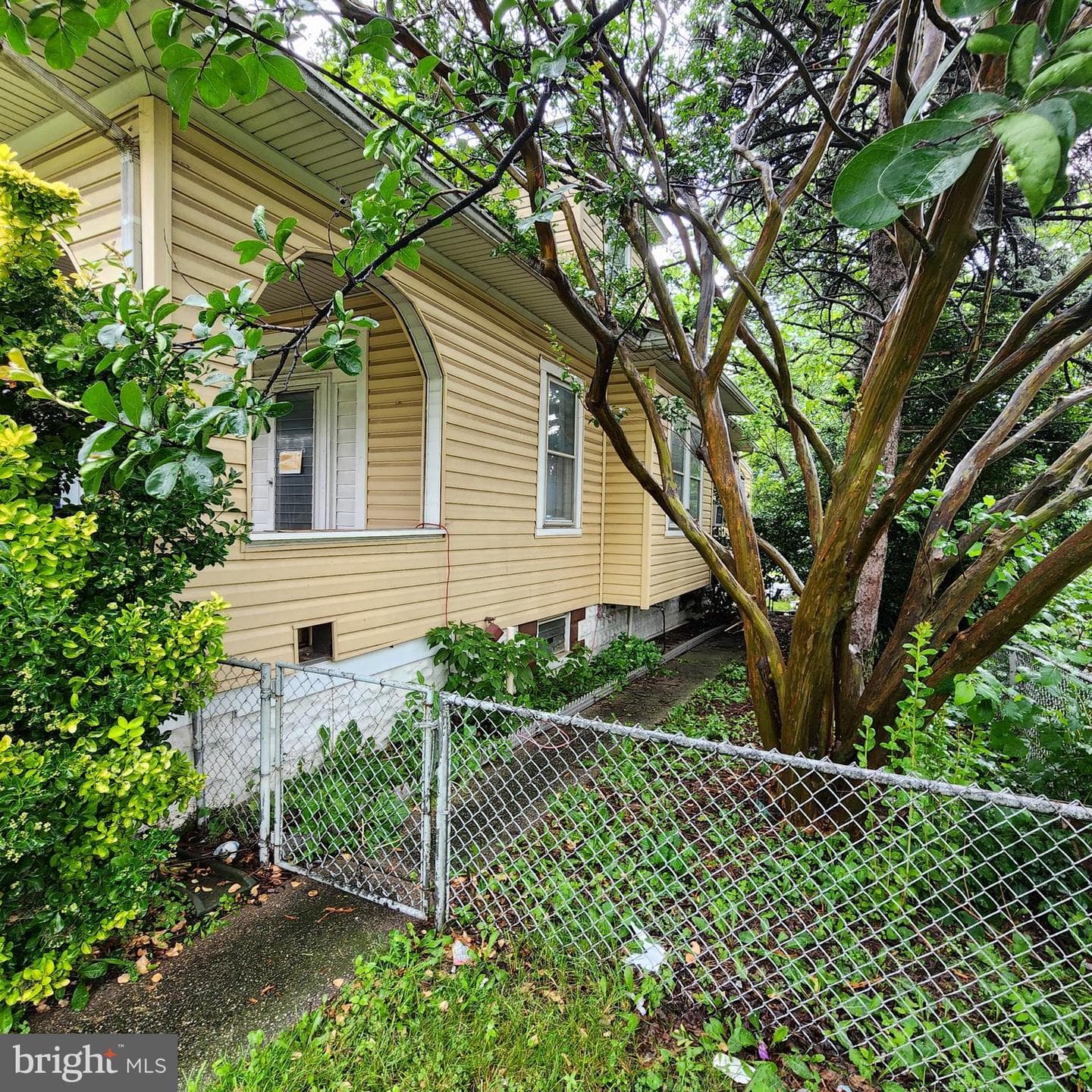6818 Holabird Avenue photo 8