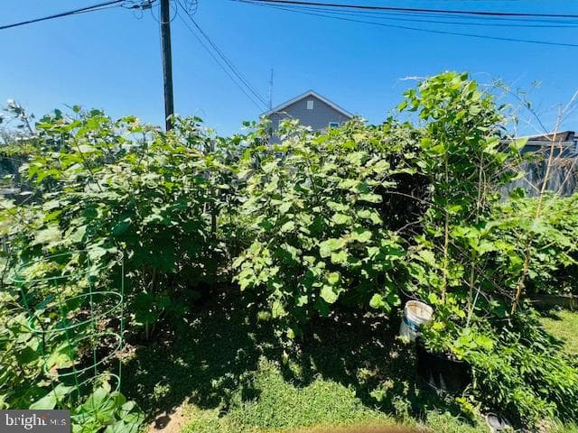343 N Beaumont Avenue photo 40
