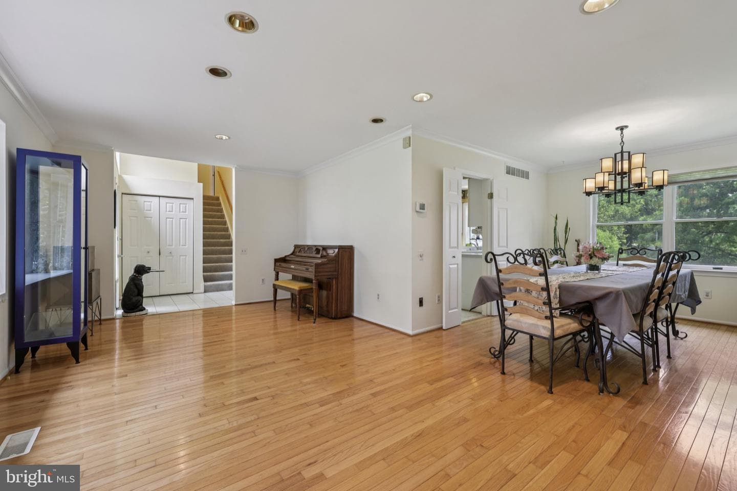 11 Blake Court photo 5