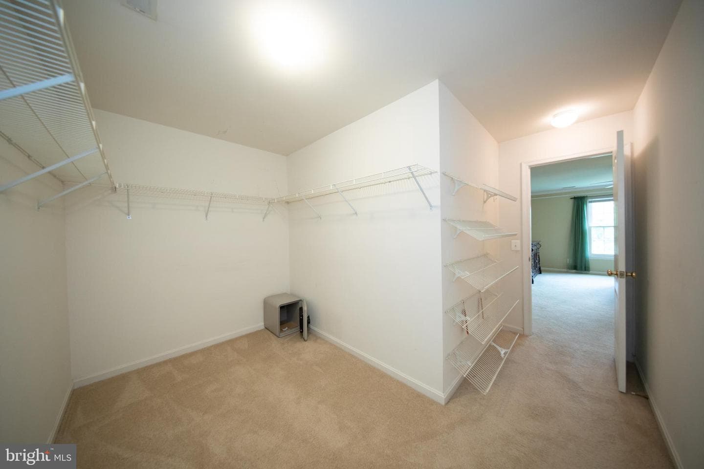 8124 Rose Haven Road photo 24