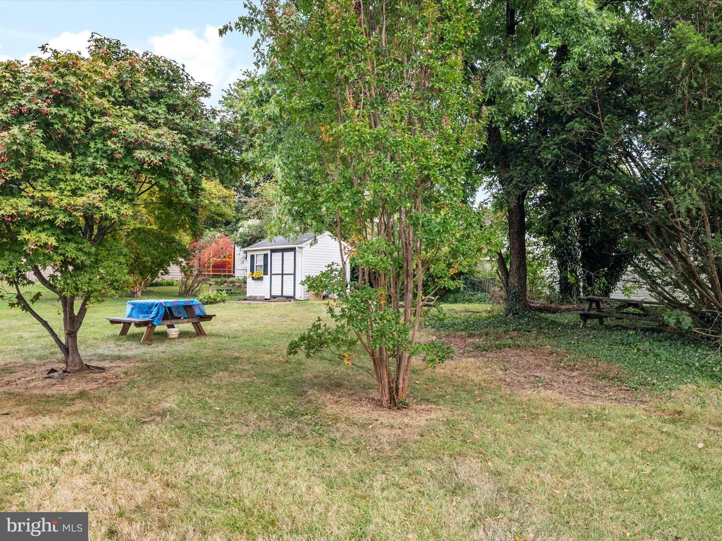 21 Oakway Road photo 46