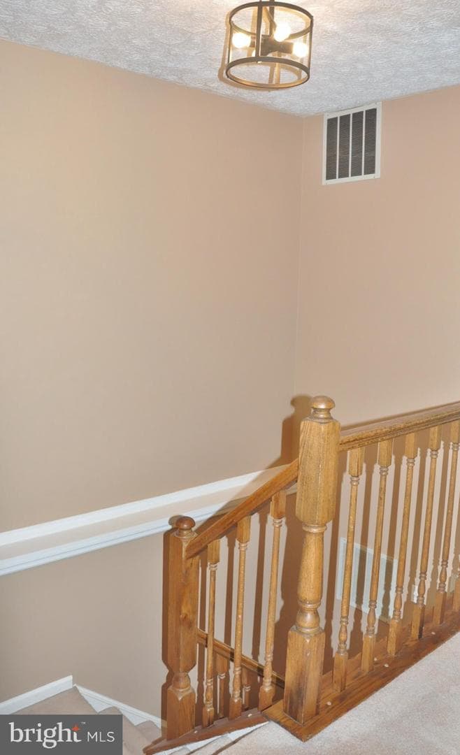 21 Margery Court photo 31