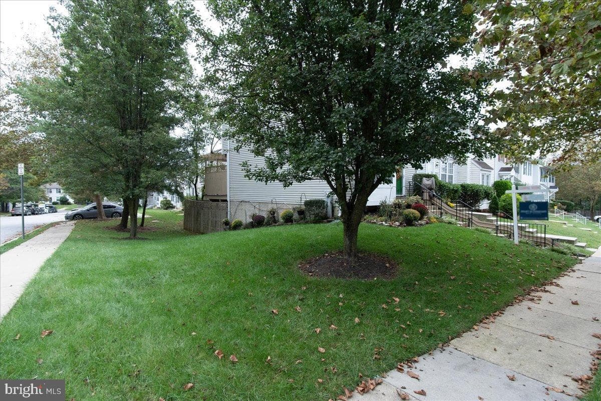 3915 Queens Lace Street photo 23
