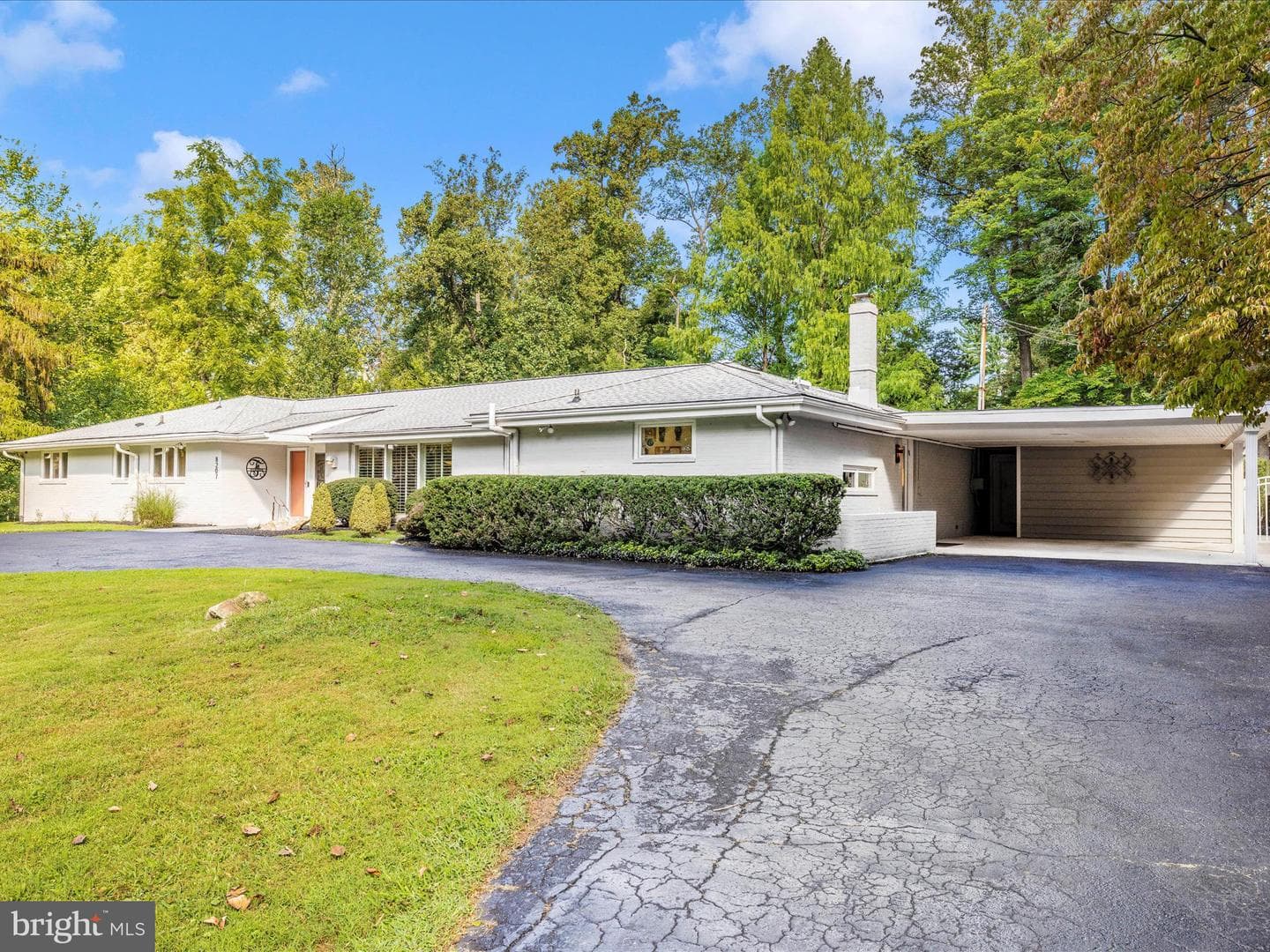 8207 Marcie Drive photo 4