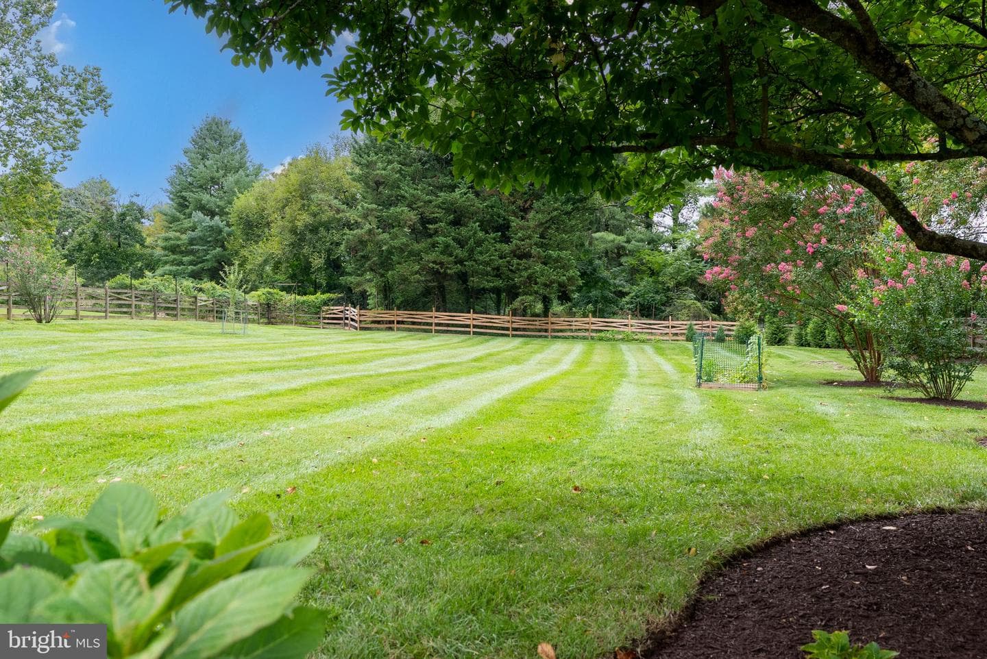 1200 Ridervale Road photo 46