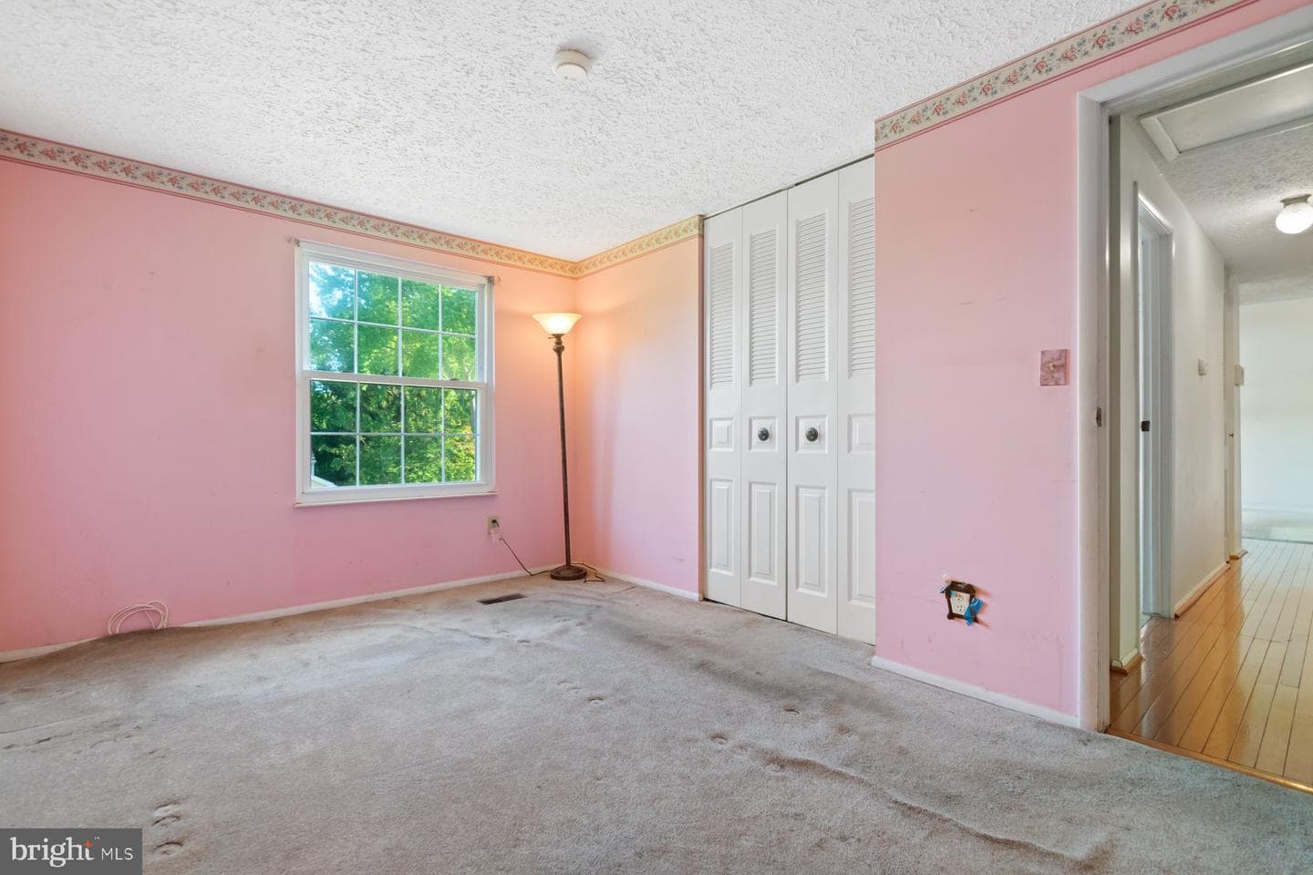 1 Allspice Court photo 19