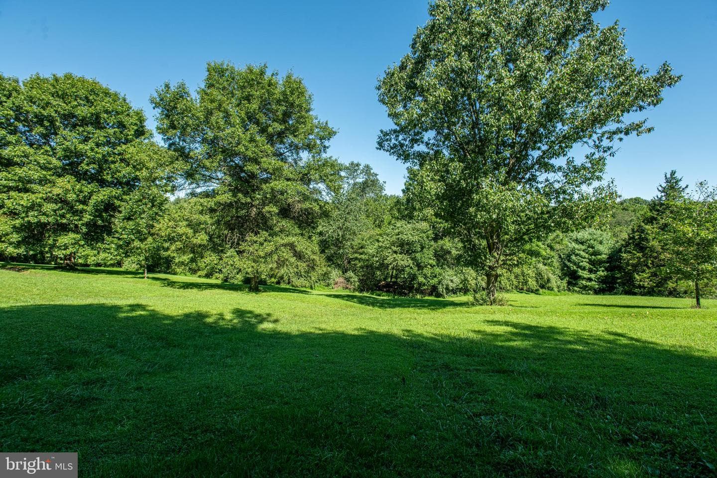 6 Deer Haven Lane photo 41