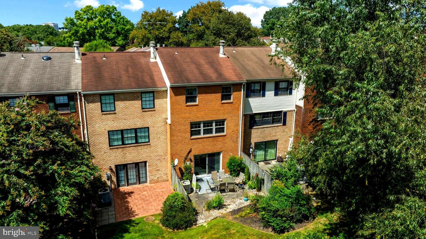 9 Theo Lane photo 27