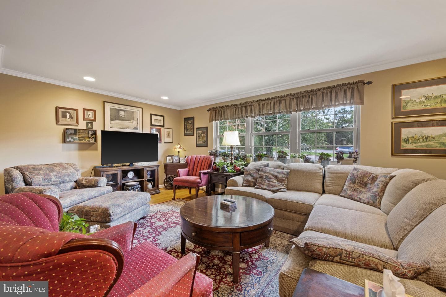 9 Theo Lane photo 9